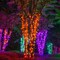 70 5mm Amber LED Christmas Halloween Lights, 4" Spacing, Black Wire